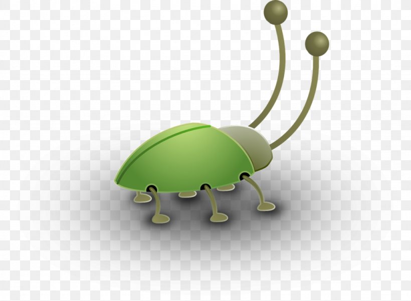 Insect Antenna Spider Graphics Macro, PNG, 1024x751px, Insect, Antenna, Green, Image Macro, Macro Download Free