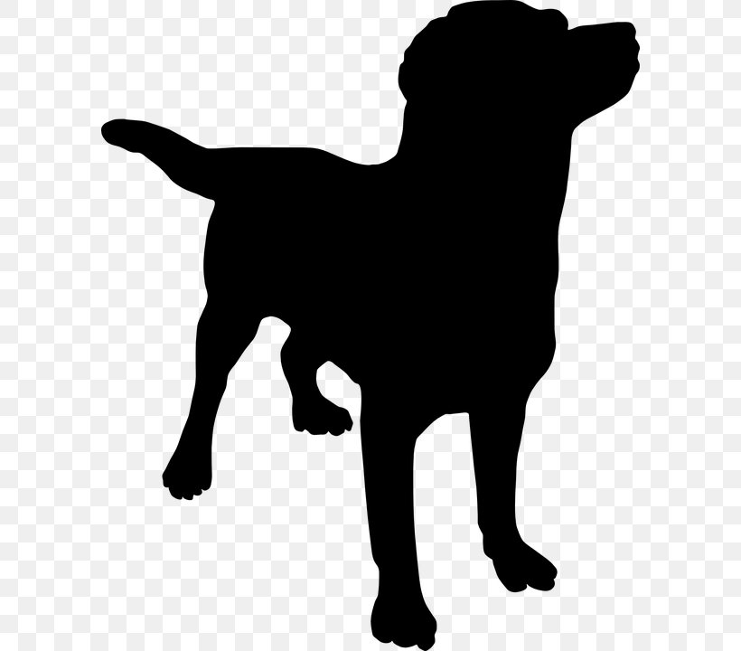 Labrador Retriever Golden Retriever Puppy Clip Art, PNG, 596x720px, Labrador Retriever, Aging In Dogs, Black, Black And White, Carnivoran Download Free