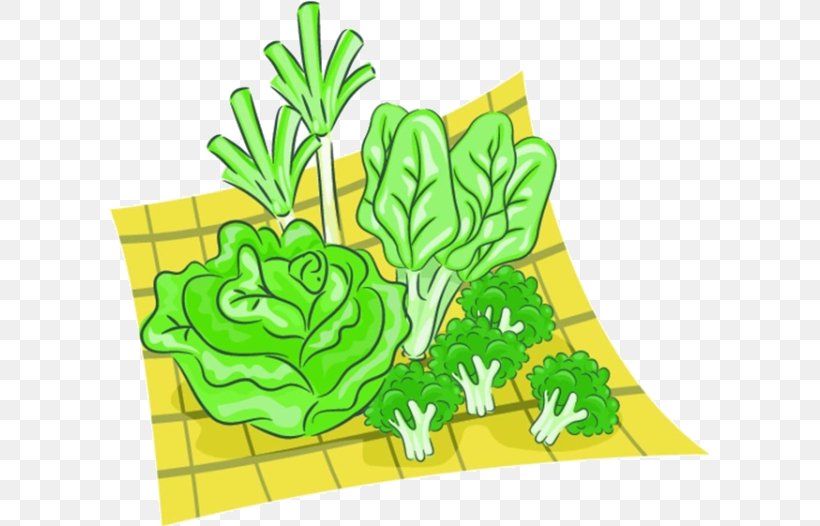 Leaf Vegetable Royalty-free Clip Art, PNG, 600x526px, Vegetable, Area, Art, Cabbage, Creative Arts Download Free
