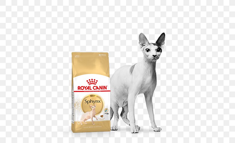 Sphynx Cat Cat Food Kitten Persian Cat Maine Coon, PNG, 500x500px, Sphynx Cat, Breed, Carnivoran, Cat, Cat Food Download Free