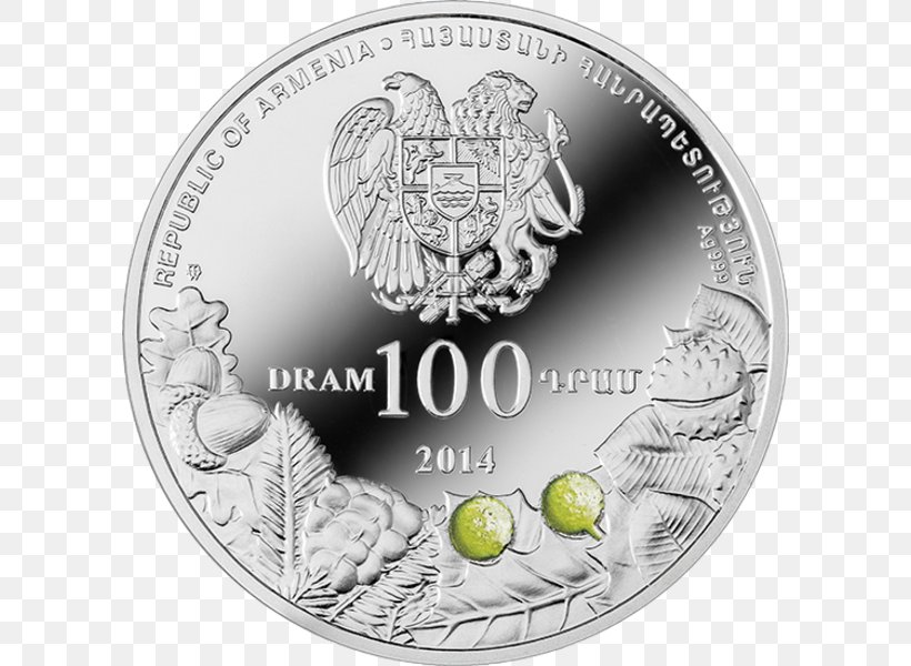 Tnjri Şıx Dursun Chinari, Armenia Nagorno-Karabakh Coin, PNG, 600x600px, Tnjri, Armenia, Armenian Wikipedia, Coin, Currency Download Free