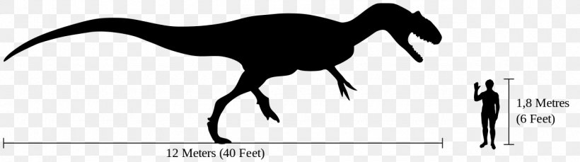 Allosaurus Cleveland-Lloyd Dinosaur Quarry Tyrannosaurus Brachiosaurus Spinosaurus, PNG, 1280x359px, Allosaurus, Albertosaurus, Allosauridae, Beak, Black And White Download Free