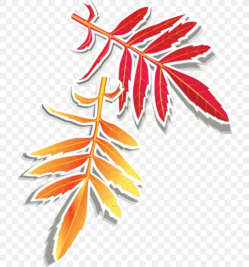 Autumn Golf Clip Art, PNG, 709x881px, Autumn, Autumn Leaf Color, Branch, Flora, Flower Download Free