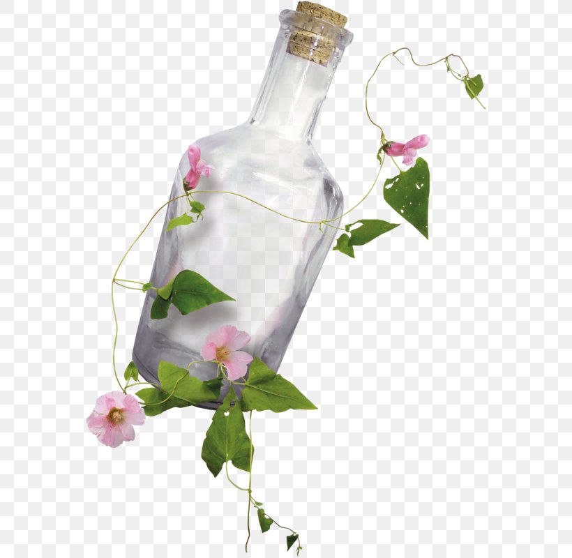 Bottle Glass Transparency And Translucency, PNG, 576x800px, Bottle, Advertising, Art, Child, Cut Flowers Download Free