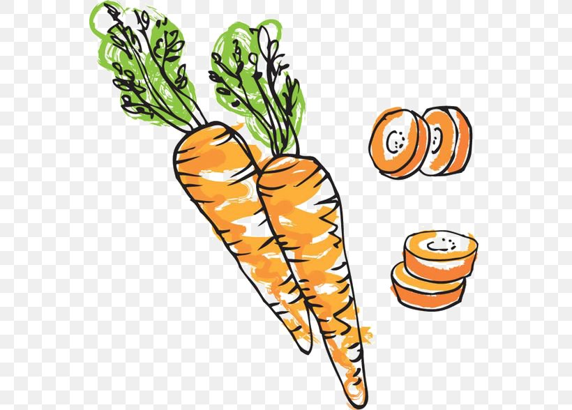 Carrot Cake Drawing Illustration, PNG, 564x588px, Carrot Cake, Baby Carrot, Carrot, Carrot And Stick, Clip Art Download Free