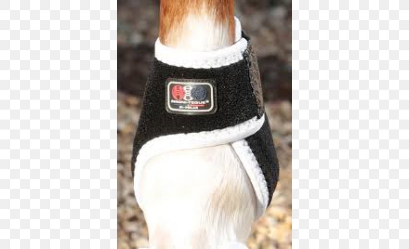 Horse Fetlock Craft Magnets Magnet Therapy Hoof Boot, PNG, 500x500px, Horse, Bandage, Boots Uk, Craft Magnets, Fetlock Download Free