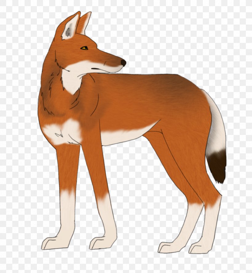 Red Fox Dog Ethiopian Wolf Drawing, PNG, 858x932px, Red Fox, Animal, Canidae, Carnivoran, Cartoon Download Free