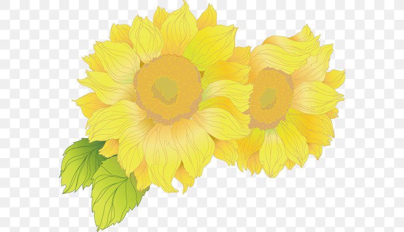 Chrysanthemum Yellow, PNG, 582x470px, Chrysanthemum, Calendula, Chrysanths, Computer Graphics, Cut Flowers Download Free