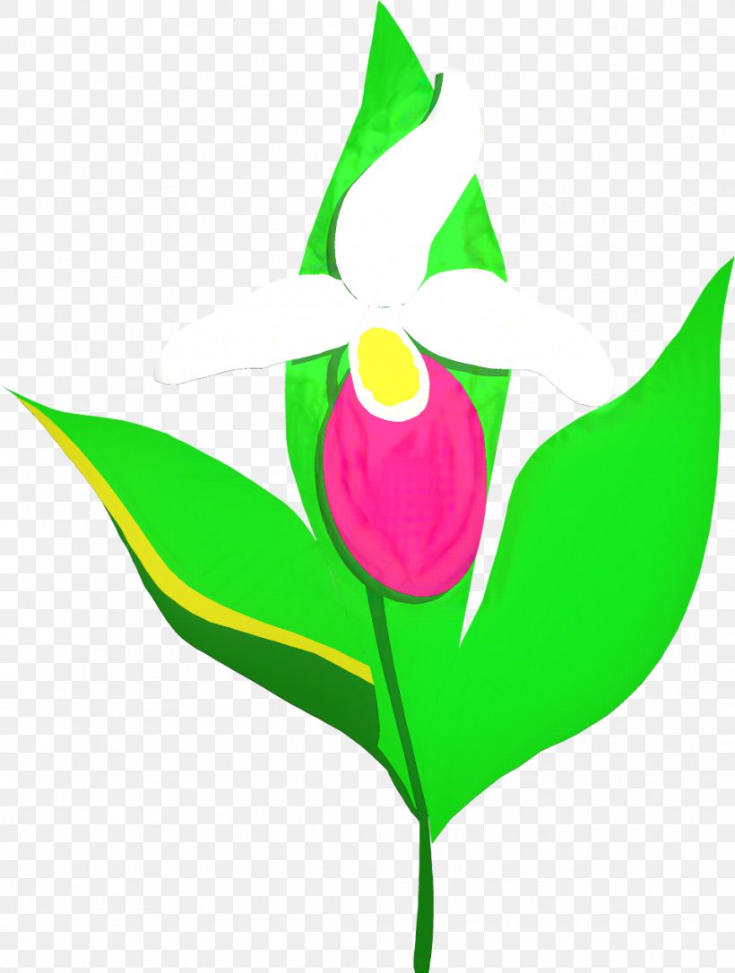 Flowers Background, PNG, 958x1269px, Tulip, Anthurium, Cut Flowers, Flower, Leaf Download Free
