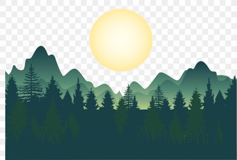 Forest Wallpaper, PNG, 6116x4125px, Forest, Daytime, Energy, Grass, Nature Download Free