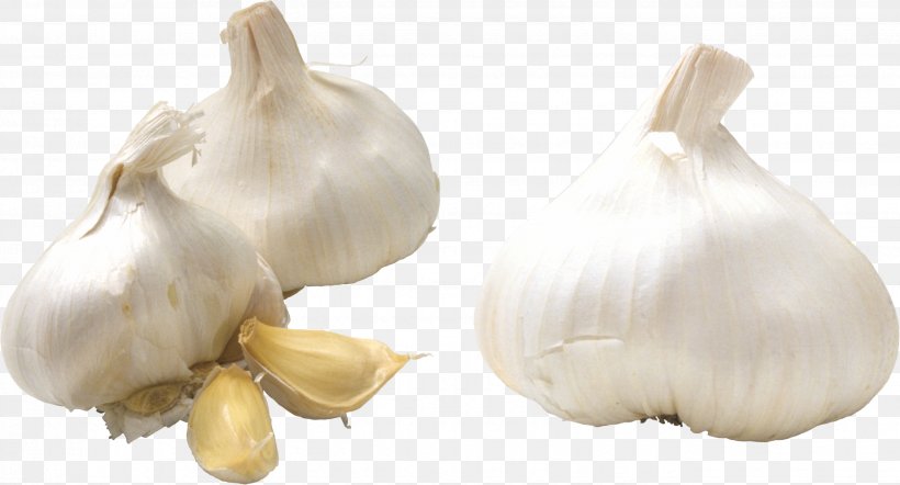 Garlic Gachas Clip Art, PNG, 2675x1442px, Garlic, Digital Image, Food, Image Resolution, Ingredient Download Free