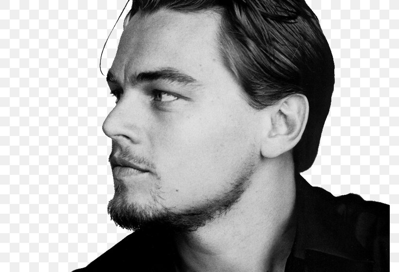 Leonardo DiCaprio Django Unchained Actor Film Producer Film Director, PNG, 782x560px, Leonardo Dicaprio, Actor, Beard, Black And White, Celebrity Download Free