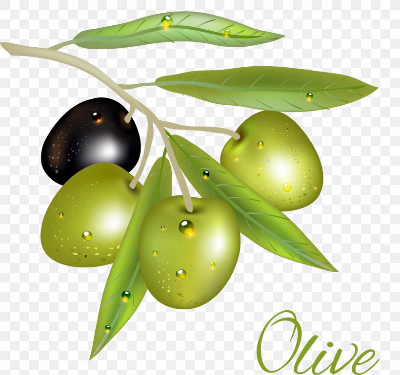 Olive Euclidean Vector, PNG, 2315x2175px, Olive, Auglis, Food, Fruit, Green Download Free