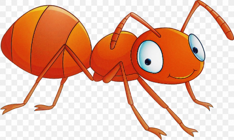 Orange, PNG, 953x571px, Insect, Animal Figure, Ant, Membranewinged Insect, Orange Download Free
