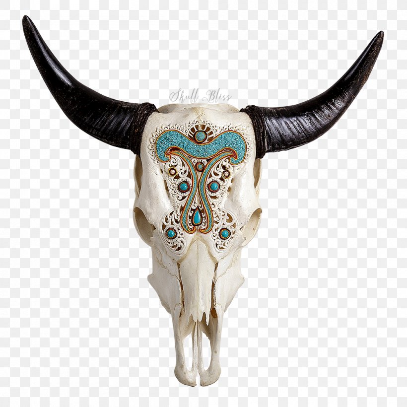 Texas Longhorn Skull Charolais Cattle Bull, PNG, 1000x1000px, Texas Longhorn, Bone, Bull, Calf, Cattle Download Free
