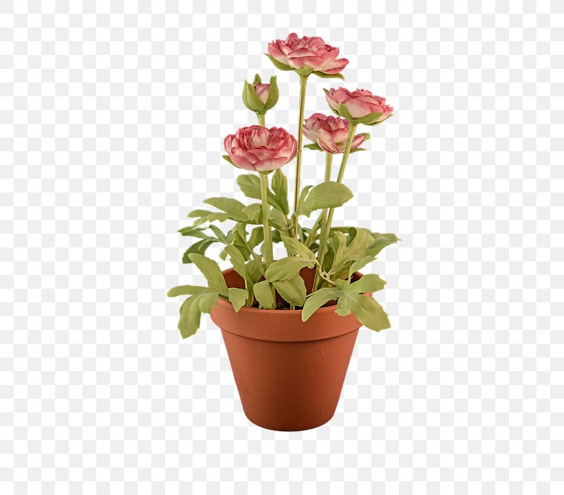 Desktop Wallpaper Flowerpot, PNG, 428x720px, Flowerpot, Cut Flowers, Flower, Flowering Plant, Herb Download Free