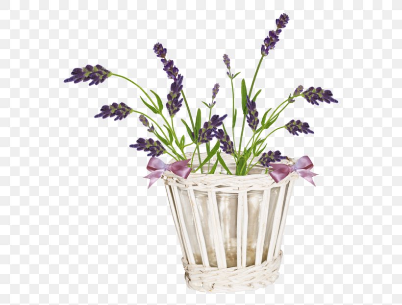 English Lavender French Lavender Cut Flowers Violet, PNG, 600x623px, English Lavender, Artificial Flower, Cut Flowers, Floraison, Floristry Download Free