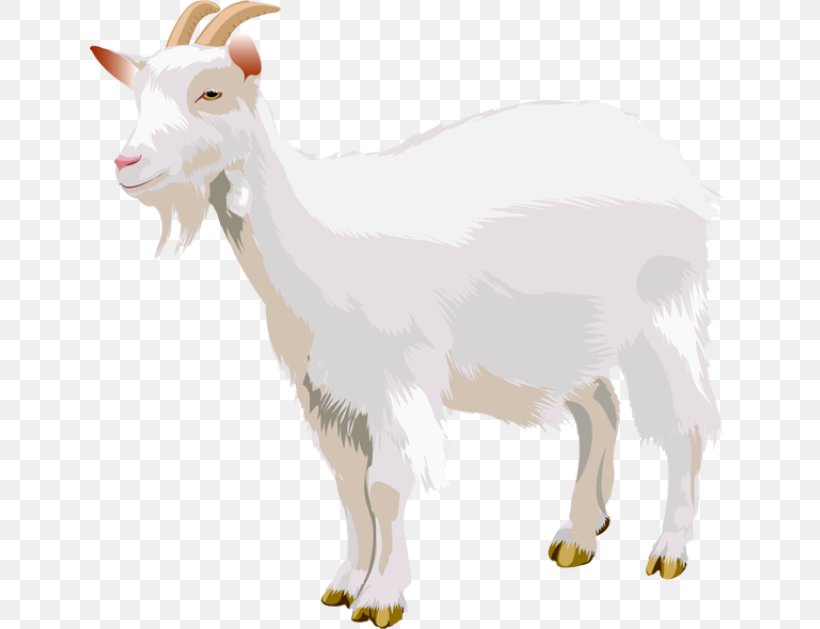 Goat Clip Art, PNG, 640x629px, Goat, Animal Figure, Camel Like Mammal, Cattle Like Mammal, Cow Goat Family Download Free
