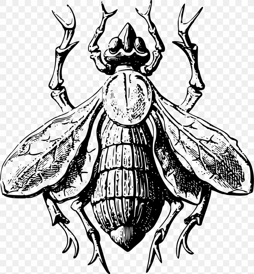 Honey Bee Insect Bird Fly, PNG, 2222x2400px, Honey Bee, Animal, Art, Arthropod, Artwork Download Free