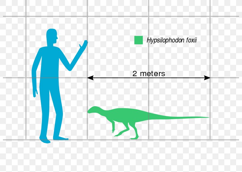 Hypsilophodon Spinops Psittacosaurus Early Cretaceous Dinosaur, PNG, 800x583px, Hypsilophodon, Area, Arthropod, Brand, Cretaceous Download Free