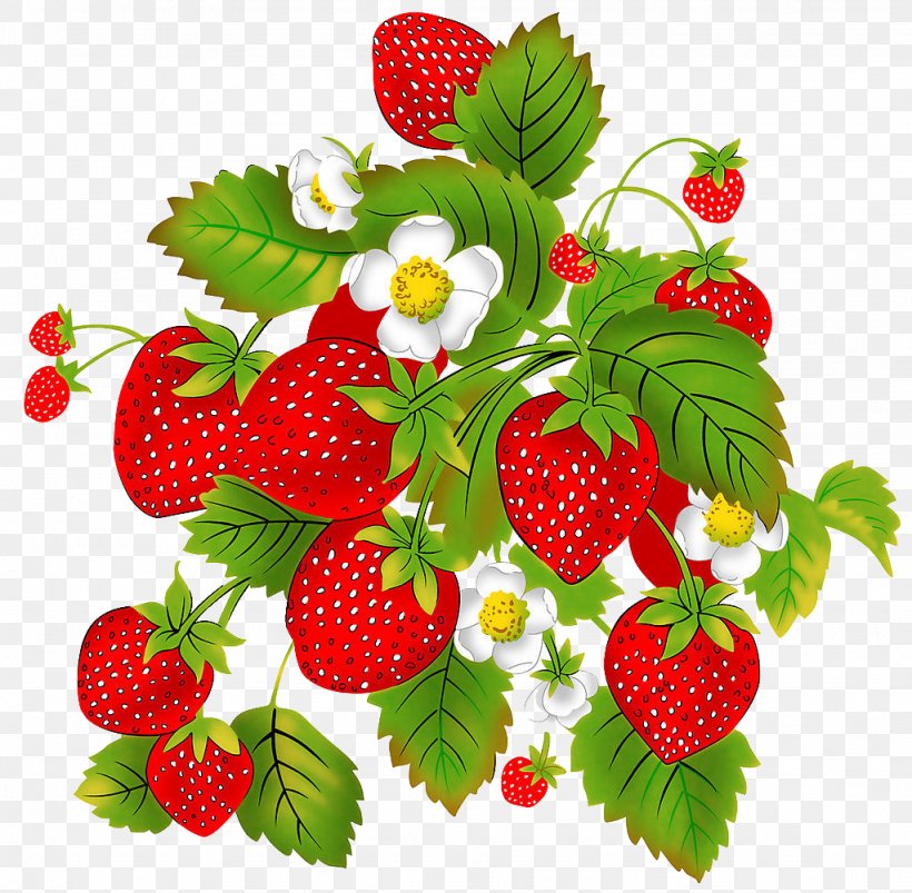 Strawberry Aedmaasikas Child Auglis Raspberry, PNG, 1024x1003px, Strawberry, Aedmaasikas, Auglis, Berry, Biotin Download Free