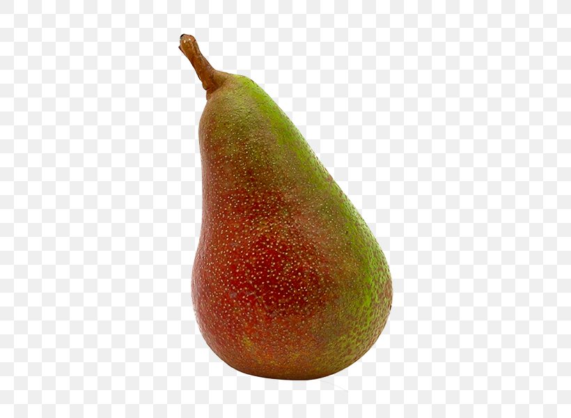 Williams Pear Accessory Fruit Auglis, PNG, 600x600px, Pear, Accessory Fruit, Agriculture, Auglis, Biodynamic Agriculture Download Free