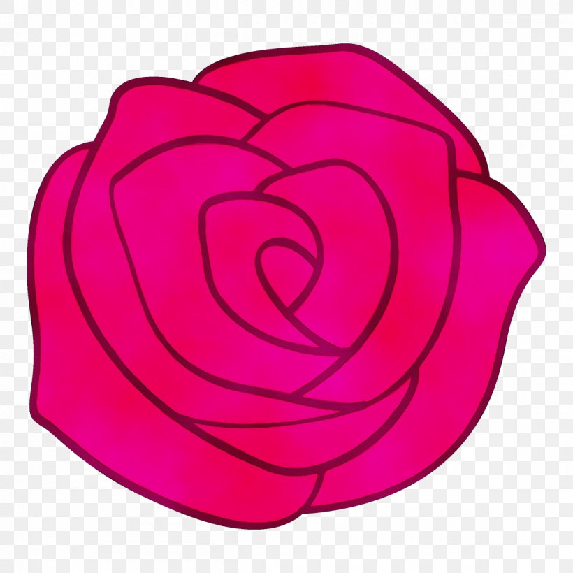 Garden Roses, PNG, 1200x1200px, Watercolor, Garden Roses, Hybrid Tea Rose, Magenta, Paint Download Free