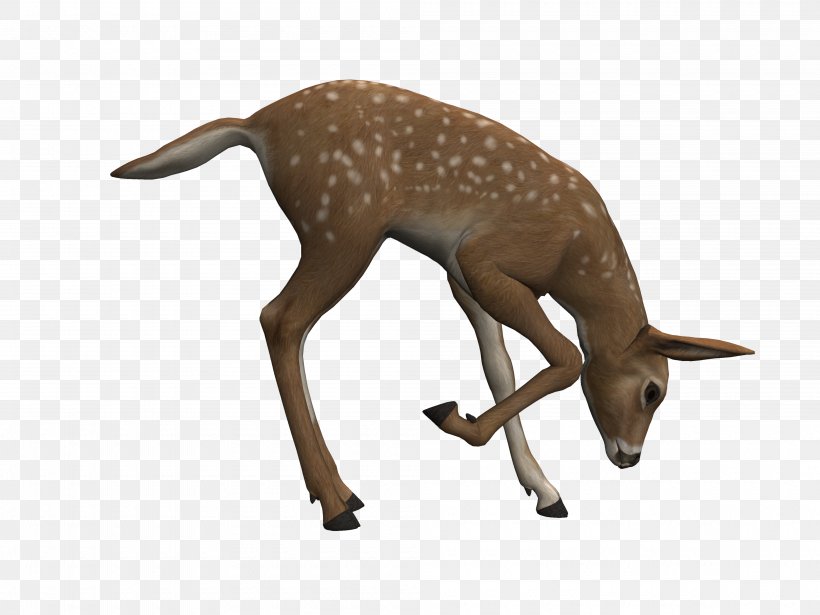 Easter Deer Drawing, PNG, 4000x3000px, 2d Computer Graphics, 3d Computer Graphics, 3d Rendering, Easter, Animal Download Free