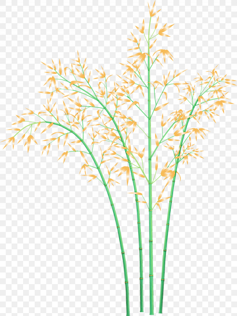 Plant Grass Flower Plant Stem Grass Family, PNG, 2255x3000px, Bamboo, Cut Flowers, Elymus Repens, Flower, Grass Download Free