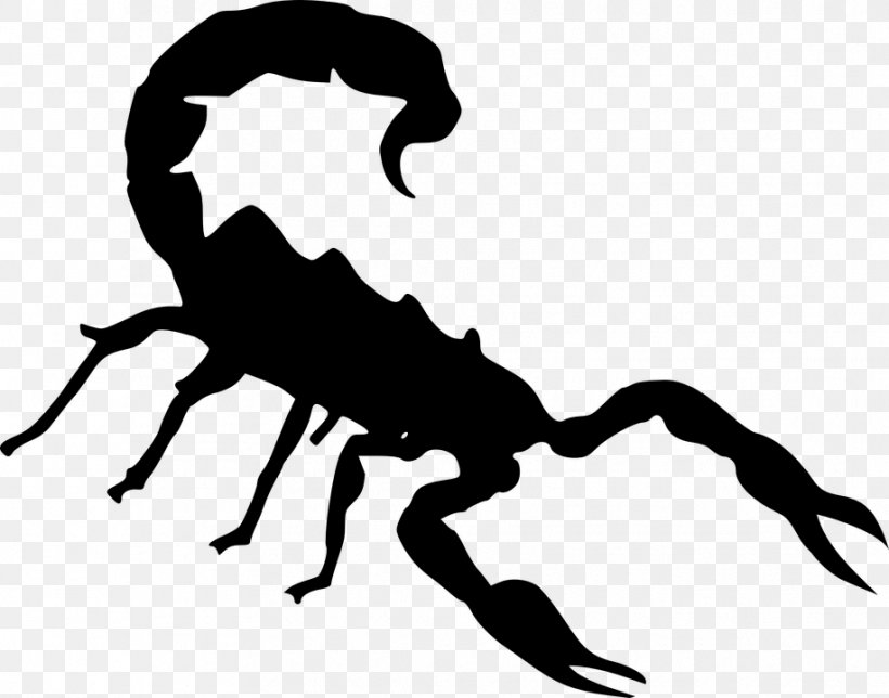 Scorpion Clip Art, PNG, 916x720px, Scorpion, Arachnid, Artwork, Black And White, Blog Download Free