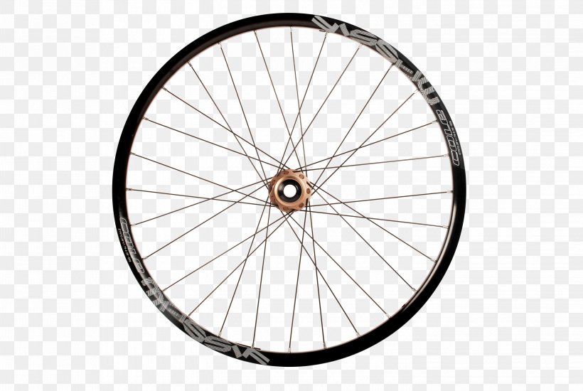 Bicycle Wheels Spoke Bicycle Tires Freewheel, PNG, 2896x1944px, Bicycle Wheels, Alloy Wheel, Autofelge, Bicycle, Bicycle Accessory Download Free