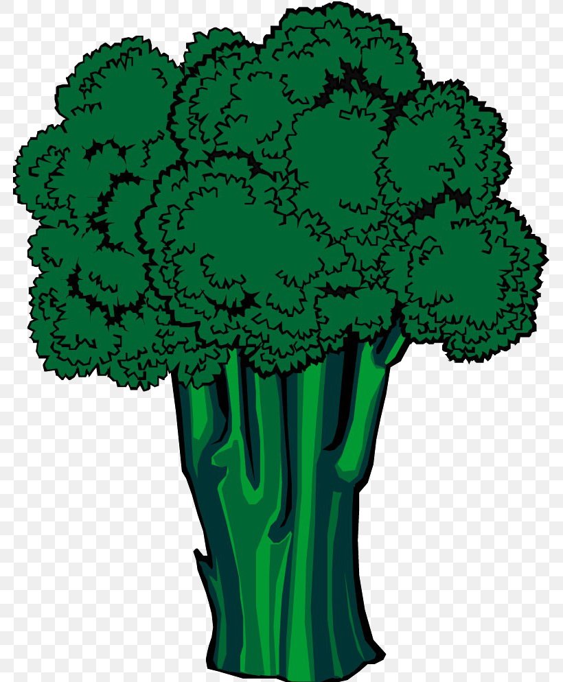 Broccoli Adobe Illustrator Clip Art, PNG, 781x994px, Broccoli, Auglis, Flowering Plant, Flowerpot, Grass Download Free