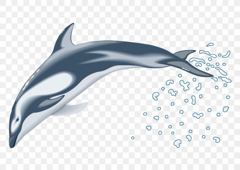 Dolphin Drawing Clip Art, PNG, 842x596px, Dolphin, Automotive Design, Bottlenose Dolphin, Cartoon, Common Bottlenose Dolphin Download Free