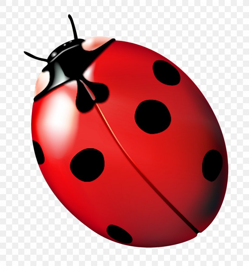 Ladybird Ladybug, Ladybug, Fly Away Home Clip Art, PNG, 1000x1070px, Ladybird, Baidu Wangpan, Beetle, Common Sage, Data Compression Download Free