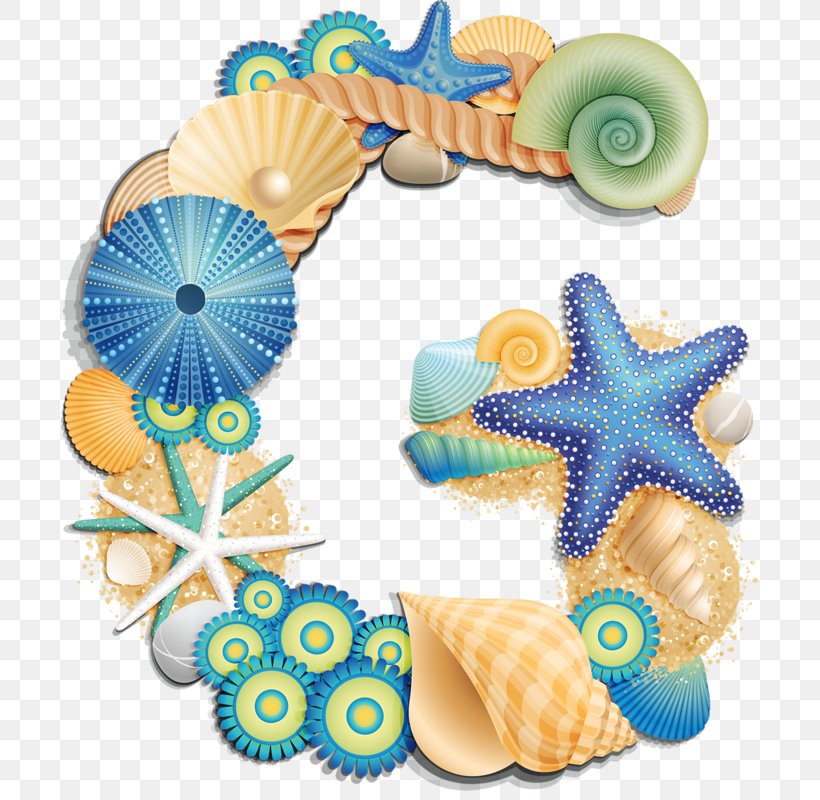 Letter Seashell Clip Art, PNG, 697x800px, Letter, Alphabet, Art, Beach, Invertebrate Download Free