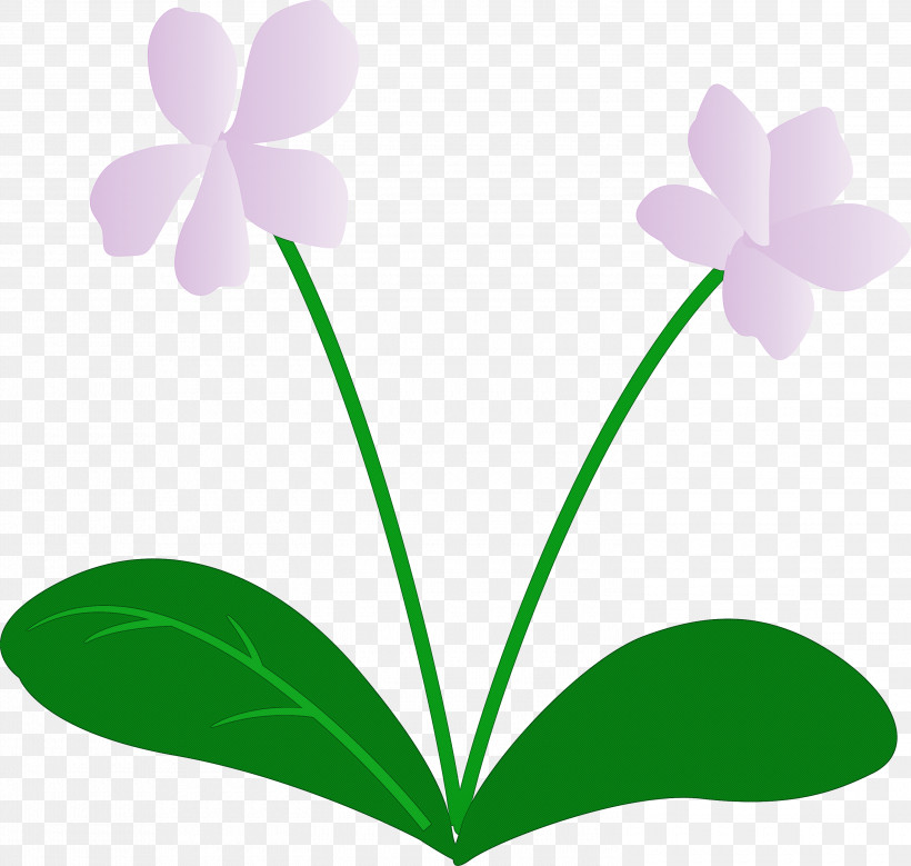 Violet Flower, PNG, 3000x2853px, Violet Flower, Biology, Flower, Green, Leaf Download Free