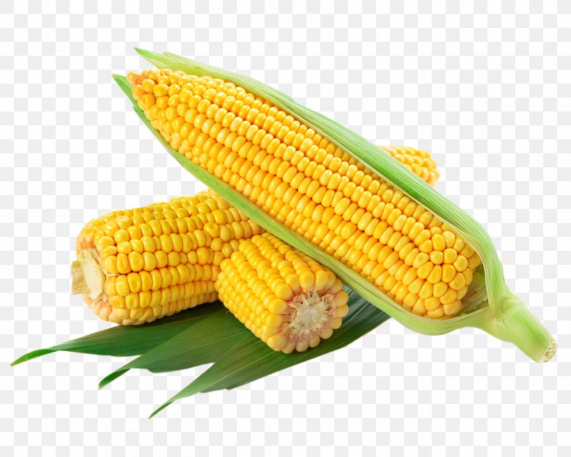 Waxy Corn Corn On The Cob Flint Corn Corn Flakes Sweet Corn, PNG, 1400x1120px, Waxy Corn, Baby Corn, Cereal, Commodity, Corn Flakes Download Free