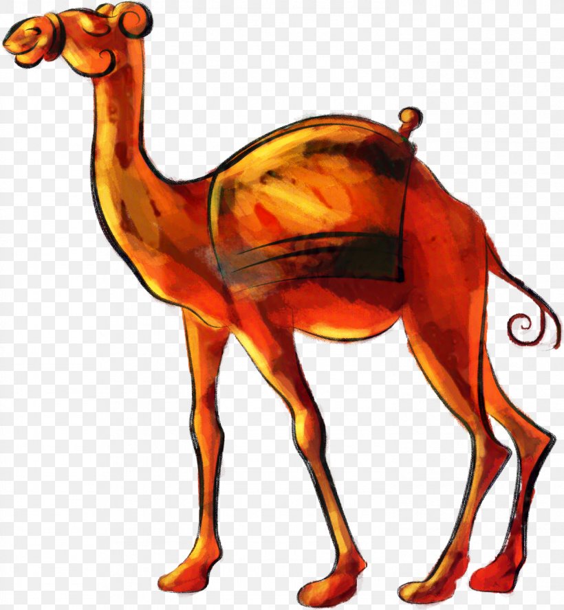 Dromedary Pakistan Muslim League NA-125 (Lahore-III) NA-120 Rahi, PNG, 1474x1598px, Dromedary, Animal Figure, Arabian Camel, Art, Camel Download Free