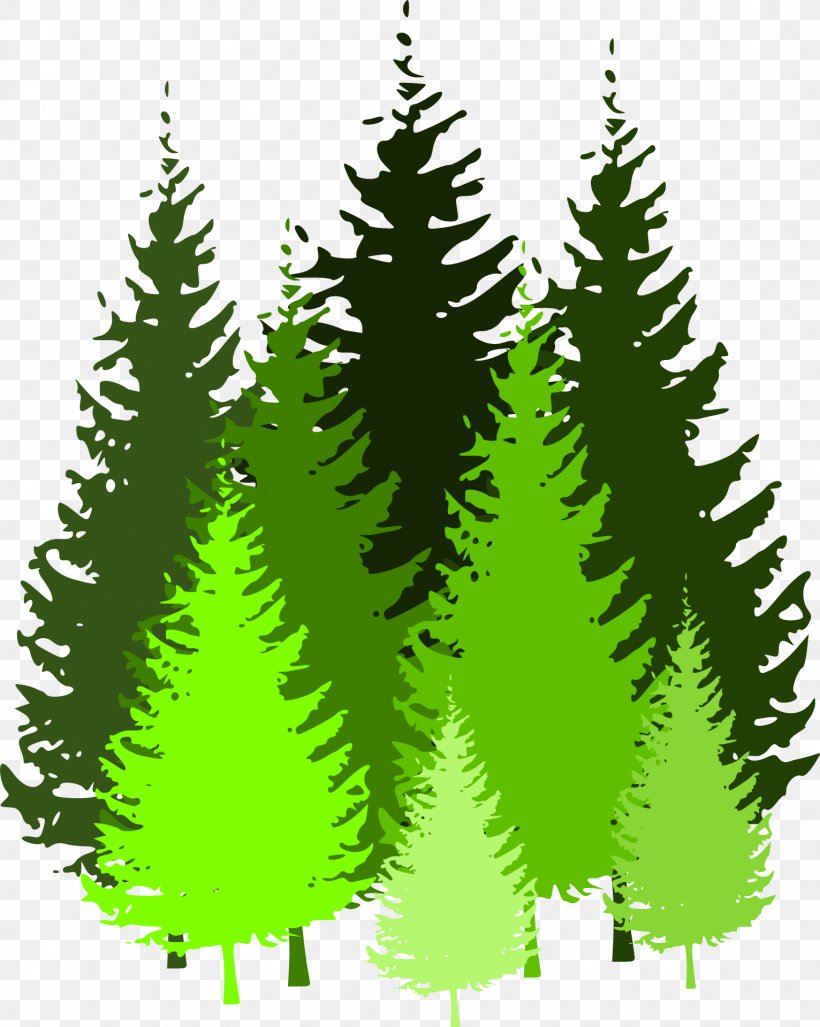 Forest Pine Clip Art, PNG, 1532x1920px, Forest, Biome, Blog, Branch, Christmas Decoration Download Free