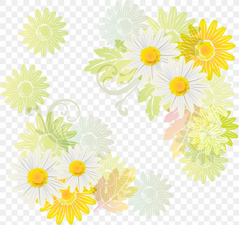 Photography, PNG, 5700x5371px, Photography, Chamaemelum Nobile, Chamomile, Chrysanths, Cut Flowers Download Free