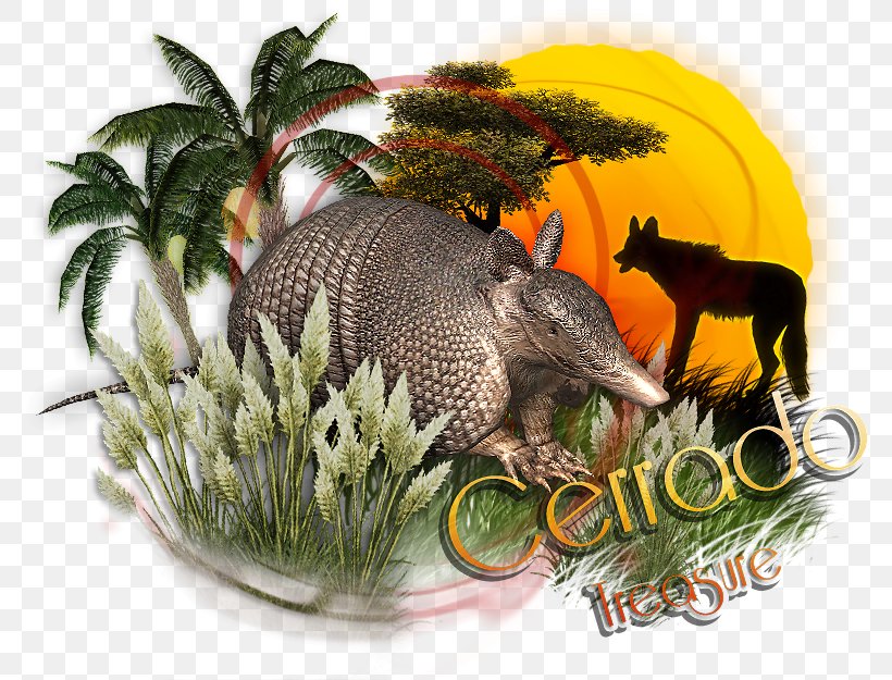Armadillo Zoo Tycoon 2 Wildlife Cerrado Asiatic Peafowl, PNG, 816x625px, Watercolor, Cartoon, Flower, Frame, Heart Download Free