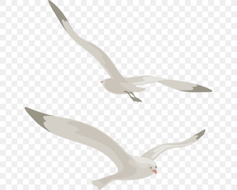 Bird Beak Duck Goose Swan, PNG, 650x659px, Bird, Albom, Animal, Animation, Beak Download Free