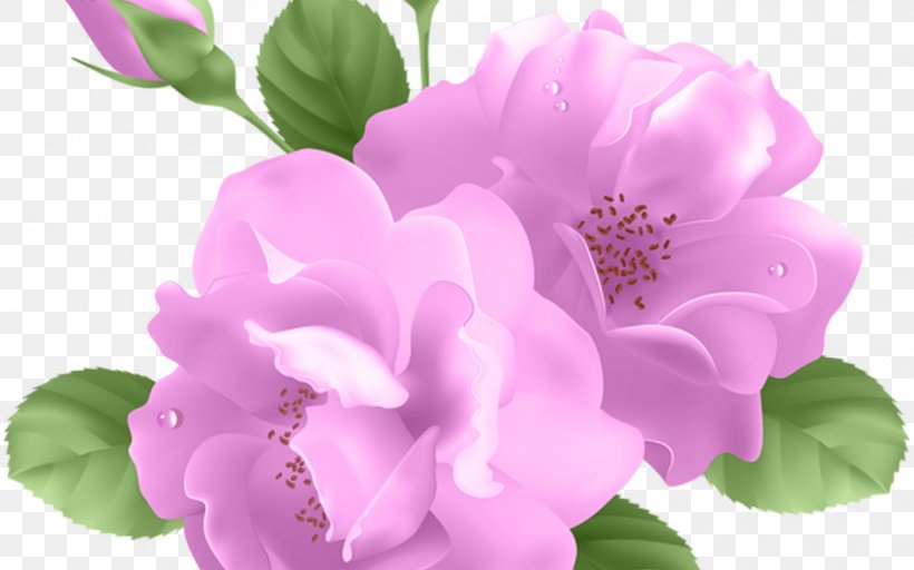 Blue Rose Flower Clip Art, PNG, 1368x855px, Rose, Annual Plant, Azalea, Blossom, Blue Rose Download Free
