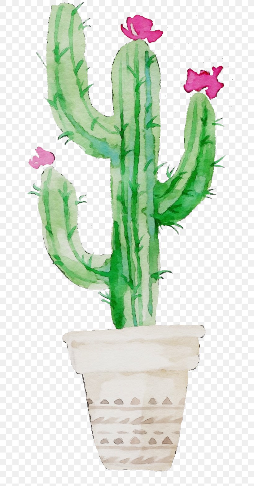 Cactus, PNG, 700x1568px, Watercolor, Cactus, Flower, Flowerpot, Houseplant Download Free