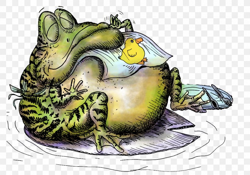 Frog Art Illustrator, PNG, 1062x744px, Frog, American Bullfrog, Amphibian, Art, Artist Download Free