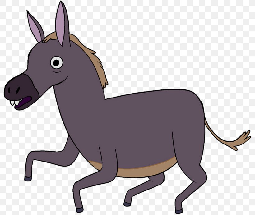 Mule Donkey Word English Spanish, PNG, 800x692px, Mule, Carnivoran, Cartoon, Conjunction, Dog Like Mammal Download Free