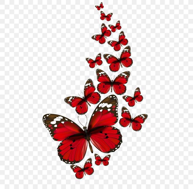 Butterfly Clip Art Desktop Wallpaper Red, PNG, 491x800px, Butterfly, Brush Footed Butterfly, Butterflies And Moths, Color, Flower Download Free