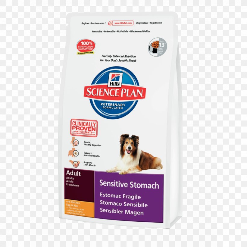 Dog Cat Puppy Science Diet Hill's Pet Nutrition, PNG, 1200x1200px, Dog, Breed, Cat, Cat Food, Chicken Download Free