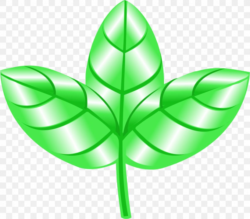 Leaf Plant Stem Symmetry Symbol, PNG, 1067x937px, Leaf, Green, Plant, Plant Stem, Symbol Download Free
