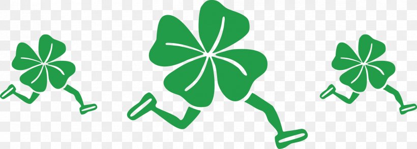 Saint Patrick's Day Running 10K Run 5K Run Racing, PNG, 2399x862px, 5k Run, 10k Run, Saint Patrick S Day, Flora, Flowering Plant Download Free